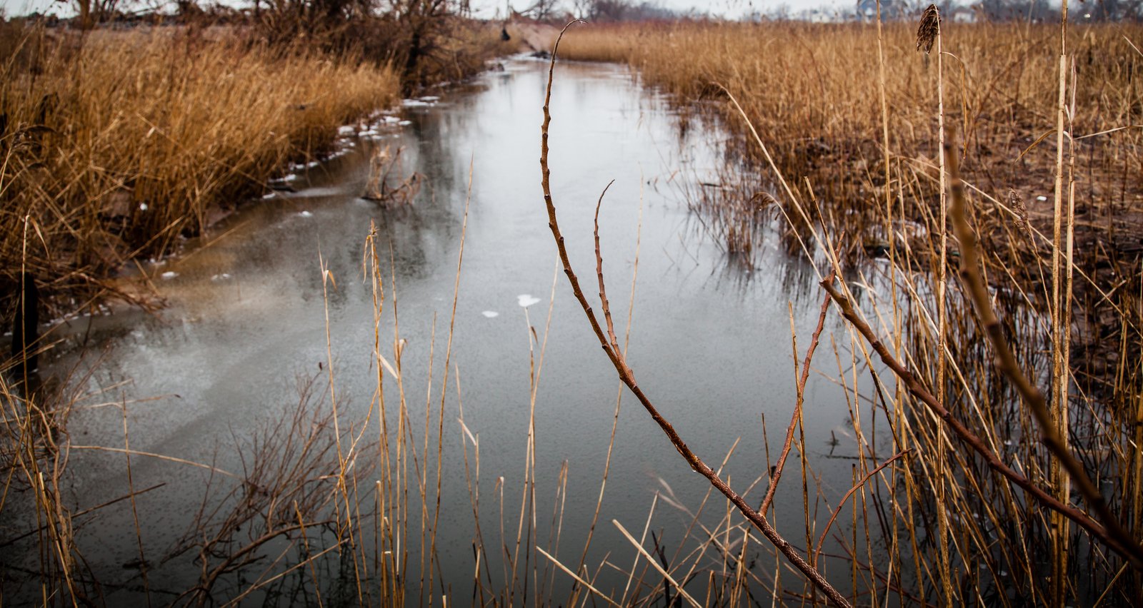 art-of-sandy-mo-staten island 2-71.jpg
